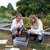 Auf dem Foto untersuchen ein Schüler und eine Schülerin Wasserpflanzen im Botanischen Garten.