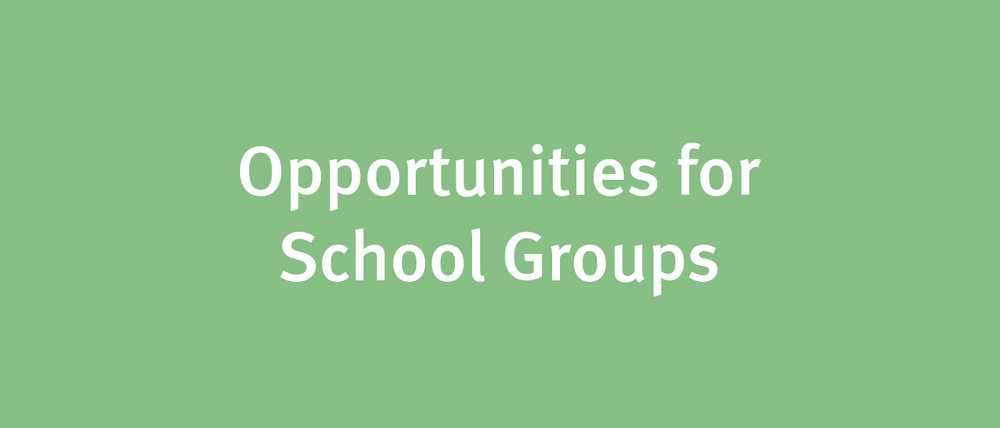 Opportunities for School Groups