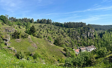 Eine der untersuchten Flächen: Ein Kalkmagerrasen bei Pottenstein in der Fränkischen Schweiz. 