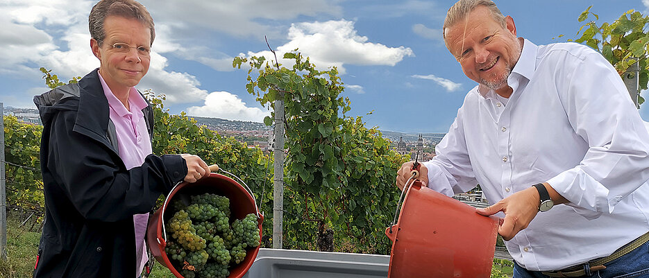 Thorsten Stegh und Klaus Baumann überzeugten sich selbst von der Qualität der Trauben, aus denen der Uni-Wein entstehen wird. 