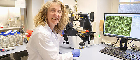 During her stay in Würzburg, Julia Loos is working in Klaus Brehm's laboratory. The group's research focuses on the larvae of the fox tapeworm (see screen). 