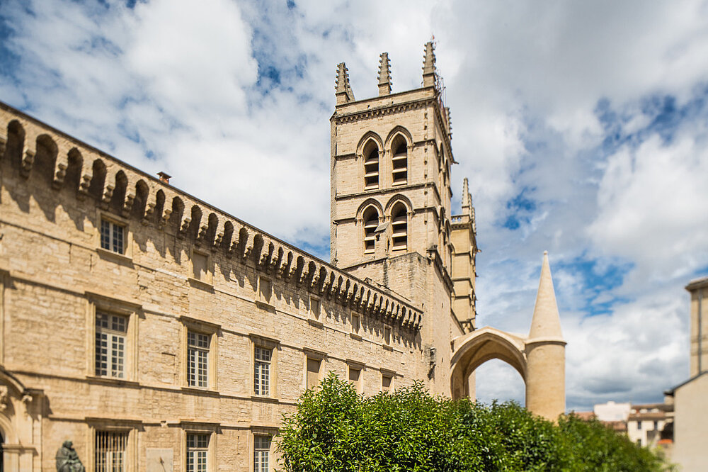 Universtiy Montpellier