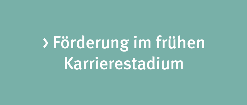 Förderung im frühen Karrierestadium